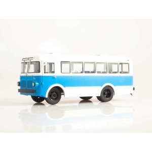 1/43 Малый городской автобус РАФ-251 белый с голубым