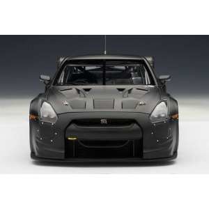 1/18 Nissan GT-R GT1 FIA-GT 2010 (BLACK)