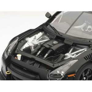 1/18 Nissan GT-R GT1 FIA-GT 2010 (BLACK)