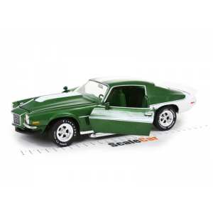 1/18 Chevrolet Camaro (Baldwin Motion) 1970 зеленый с белым