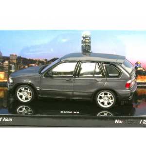 1/43 BMW X5 E53 Flavours of Asia серый