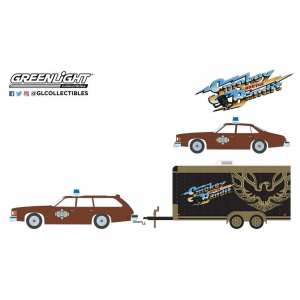 1/64 набор Pontiac LeMans Safari 1977 и Pontiac LeMans Sheriff BuFord 1977 (из к/ф Смоки и бандит)