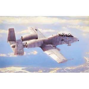 1/48 Самолет N/AW A-10A THUNDERBOLT II