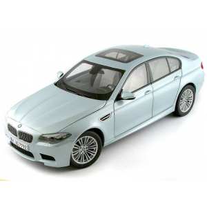 1/18 BMW M5 F10 2012 silverstone met