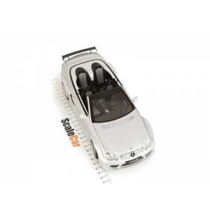 1/18 Mercedes-Benz CLK DTM AMG Convertible A209 серебристый
